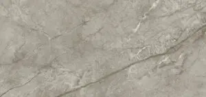 SILVER MAJESTIC (실버 마제스틱)