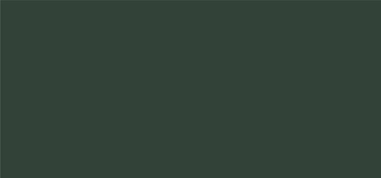 ABSOLUTE GREEN (앱솔루트 그린 C)