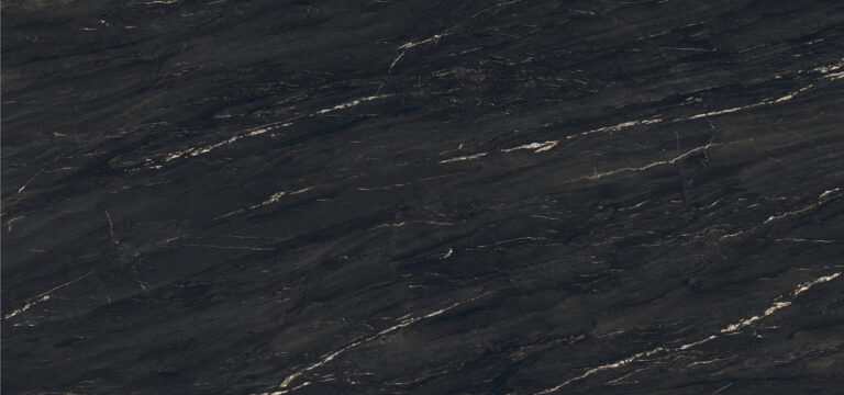 BELVEDERE BLACK (벨베데레 블랙)