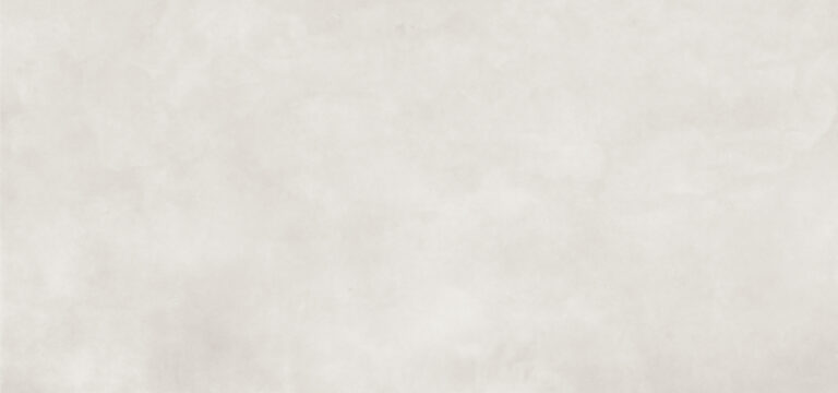 FACTOR SNOW (팩터 스노우)