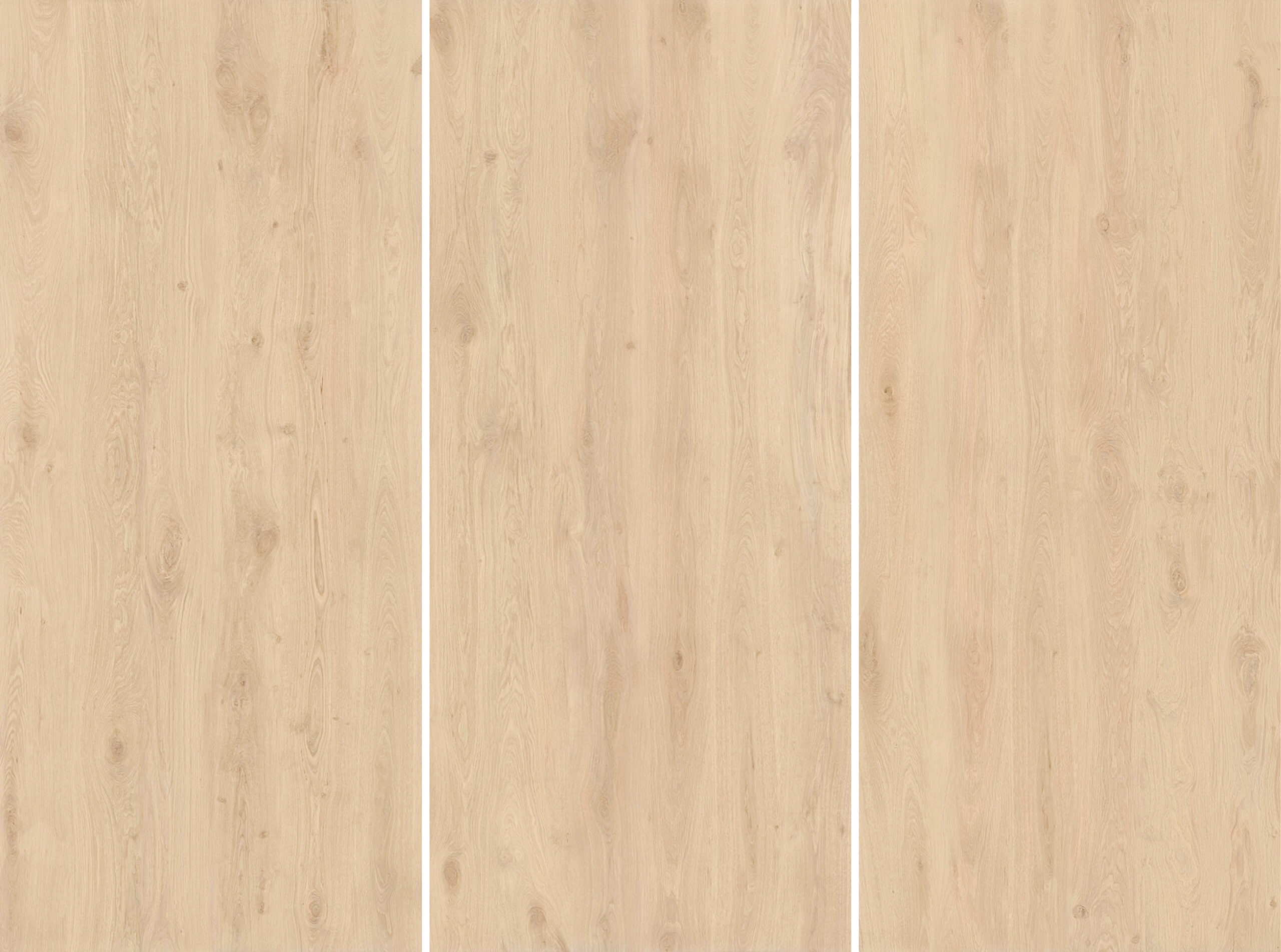bright-oak_2.3