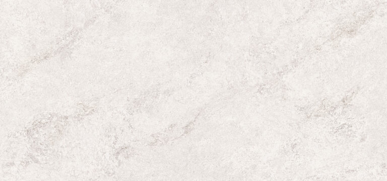PRIMA WHITE (프리마 화이트 C)