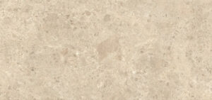 NYRA AMBROSIA (나이라 암브로시아)