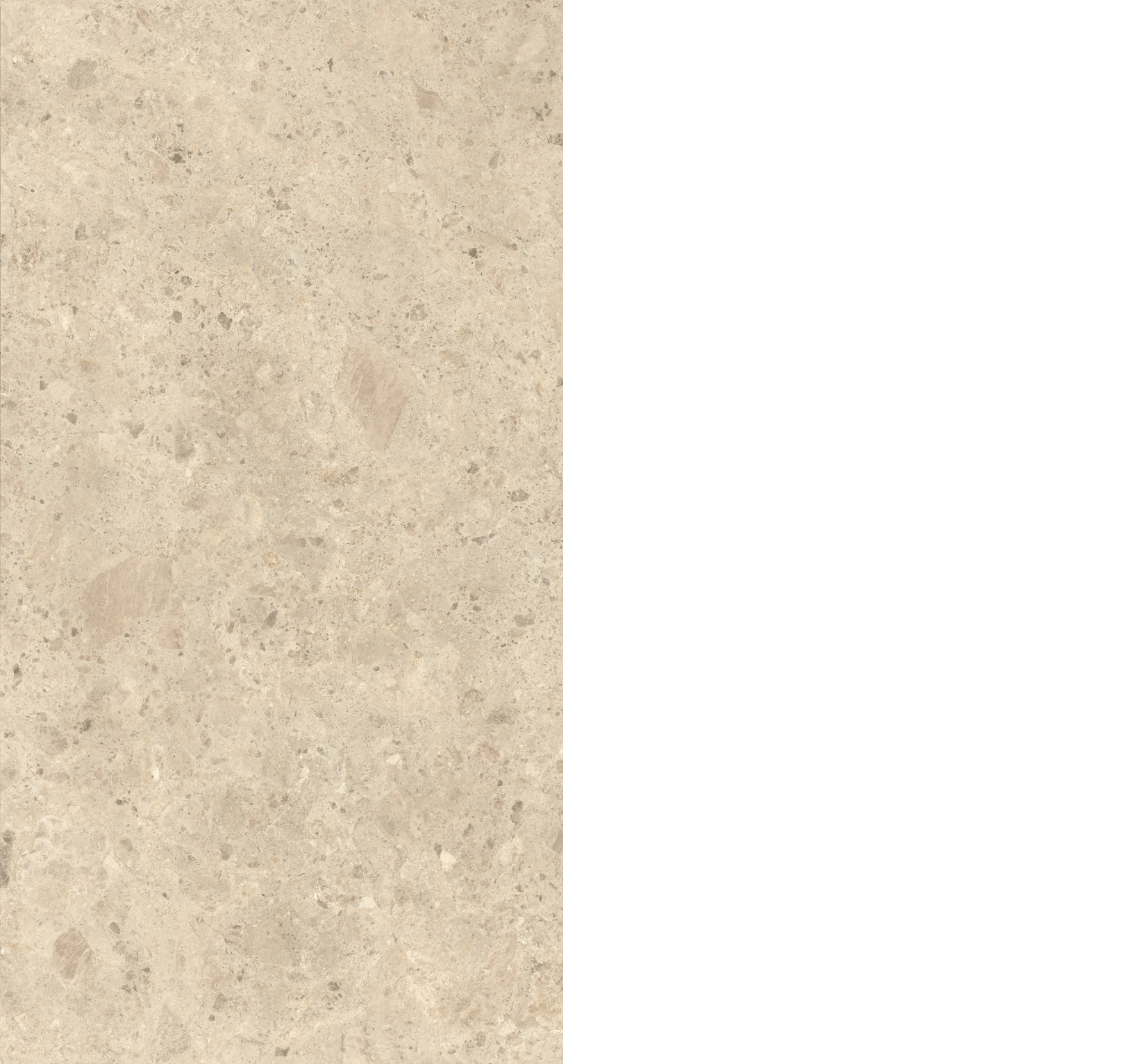 나이라-암브로시아-7