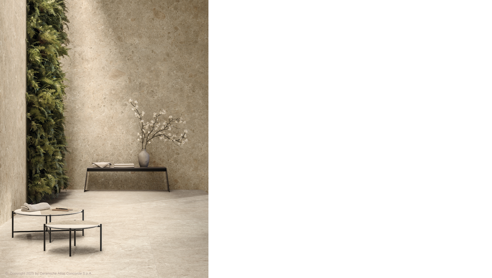 나이라-암브로시아34