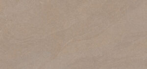 T SAND KHAKI (티 샌드 카키 C)