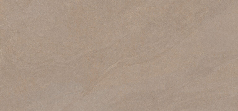 T SAND KHAKI (티 샌드 카키 C)