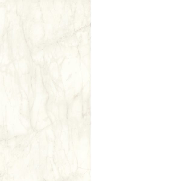 calacatta-delicato-4