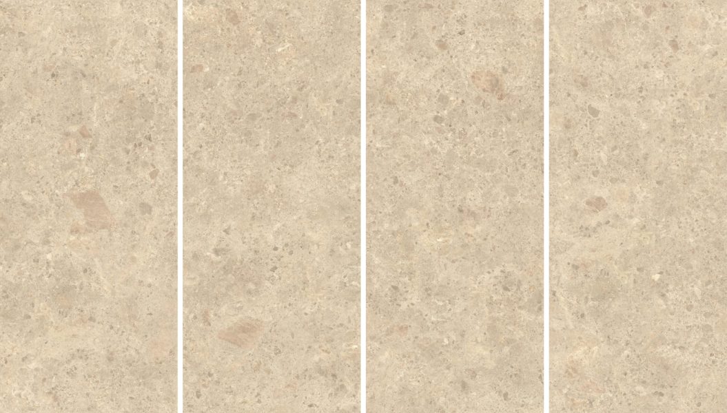 나이라-암브로시아-6